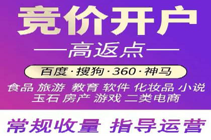 百度竞价运营策略：成功案例解析